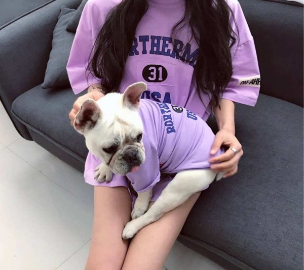 Purple - USA - Matching Pet and Owner Clothing Set -   2XL