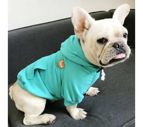 Blue - Matching Pet and Owner Clothing Set | Hoodie -   Med