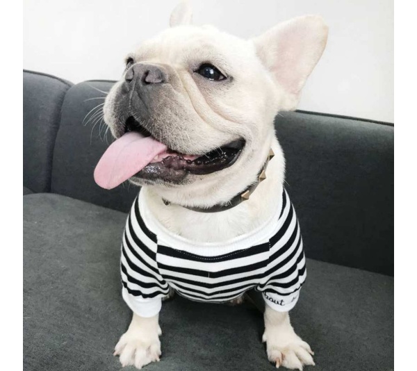 Black - Stripe Style - Matching Pet and Owner Clothing Set -  Small