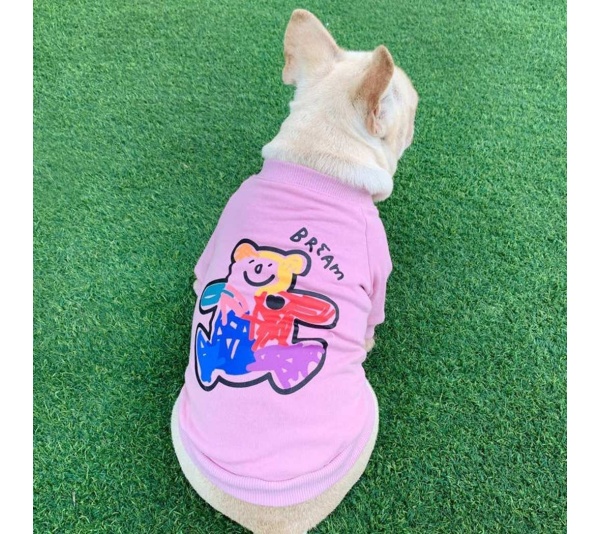 Pink - Teddy Bear - Matching Pet and Owner Clothing Set -  Medium