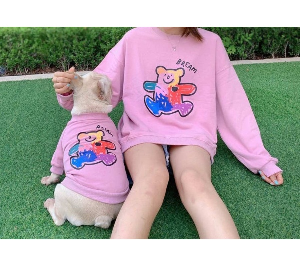 Pink - Teddy Bear - Matching Pet and Owner Clothing Set -  Small