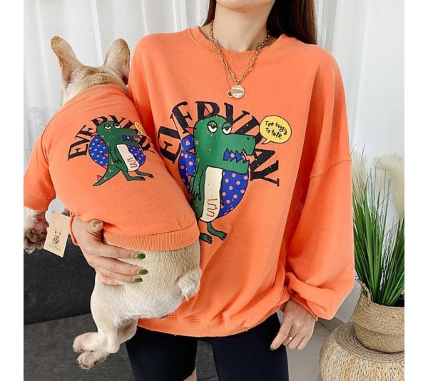 Orange - Everyday Dinosaur - Matching Pet and Owner Clothing Set -   2XL