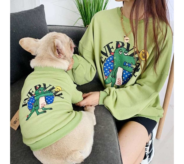 Green - Everyday Dinosaur - Matching Pet and Owner Clothing Set -  Medium
