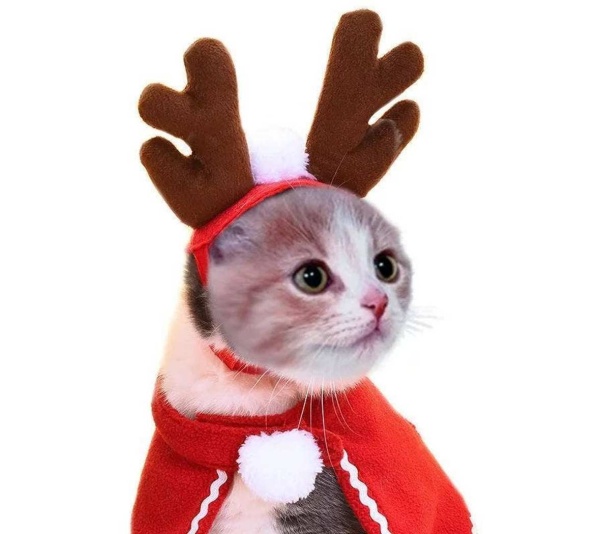 Merry Christmas Cloak for pets -