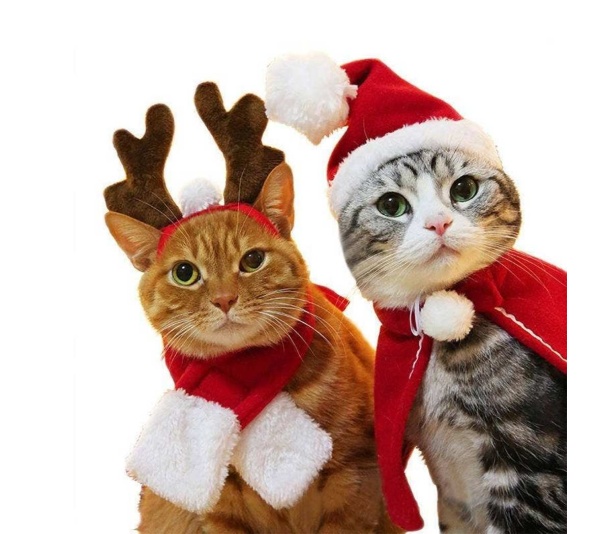 Merry Christmas Cloak for pets -