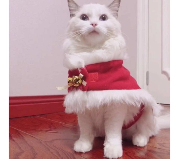 Red/White - Merry Christmas Pets Beautiful Clothes -  Large