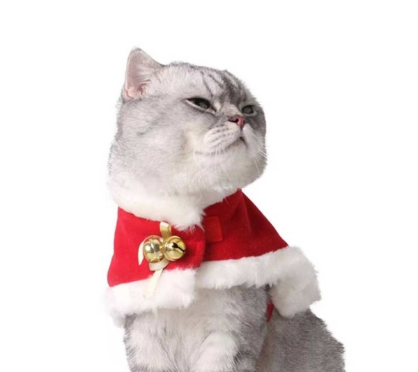 Red/White - Merry Christmas Pets Beautiful Clothes -  Small