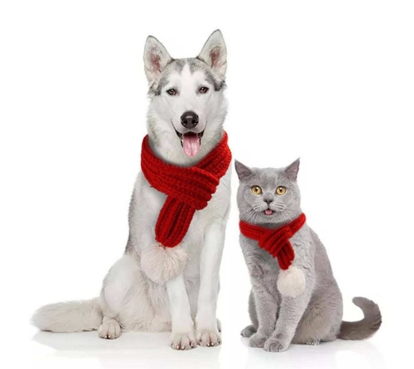 Merry Christmas Scarf for pet -