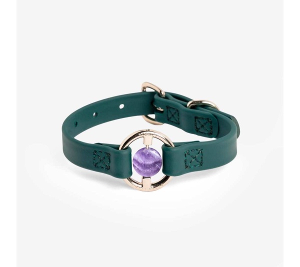 Jungle Green - All Eyes On Me Collar - M