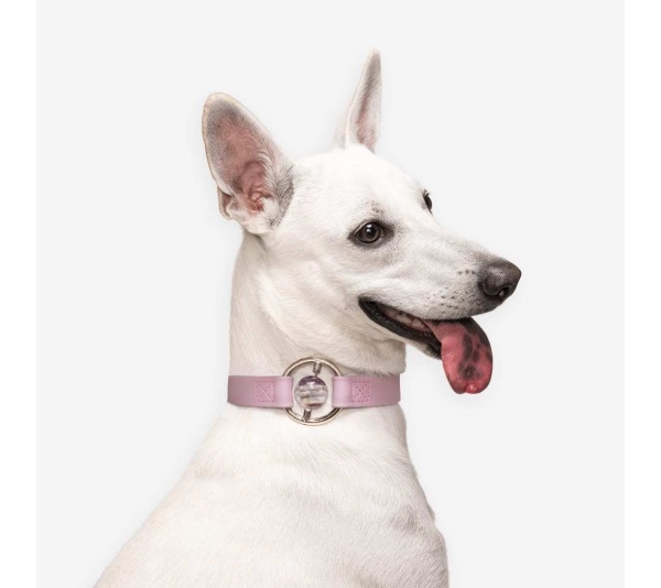 Lilac Haze - All Eyes On Me Collar - XS