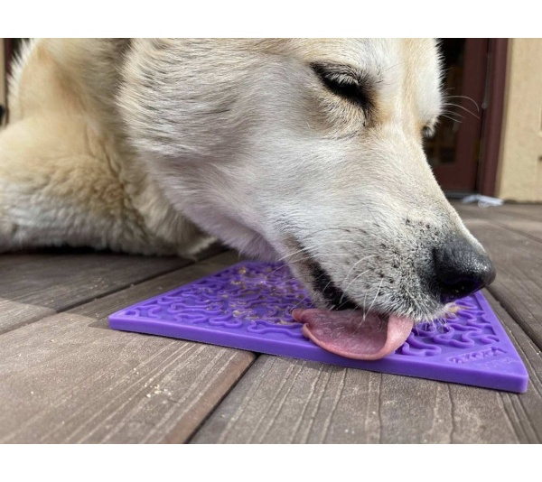 Purple - Bones Design eMat Enrichment Lick Mat