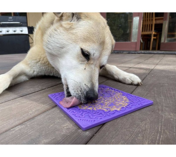 Purple - Bones Design eMat Enrichment Lick Mat