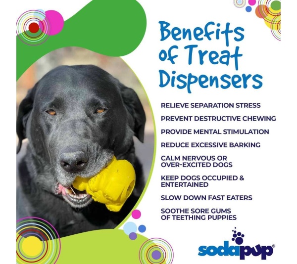 Yellow - Honey Bear Treat Dispenser - Large