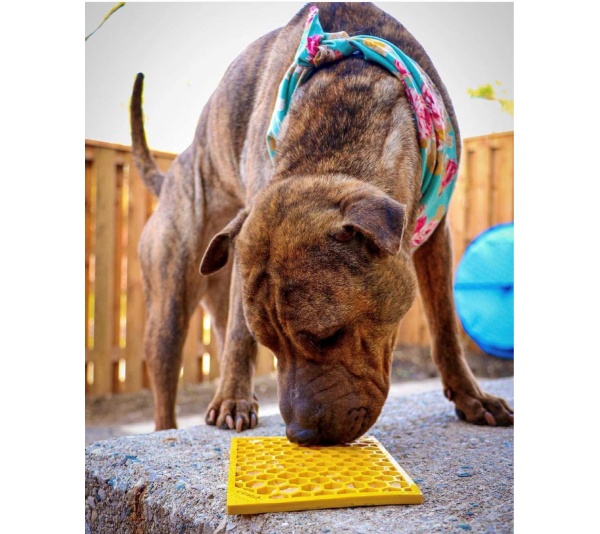 Yellow - Honeycomb Design Emat Enrichment Lick Mat - Small