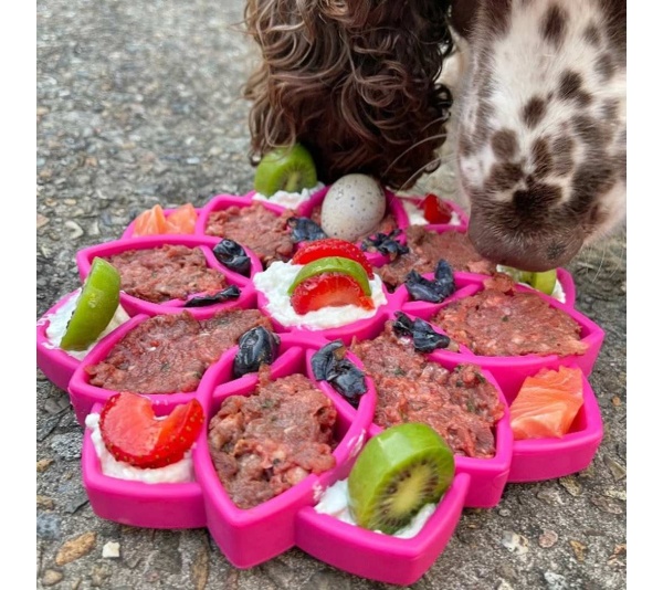 Blue  - Mandala Design eTray Enrichment Tray for Dogs