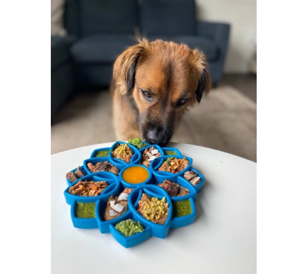 Blue  - Mandala Design eTray Enrichment Tray for Dogs