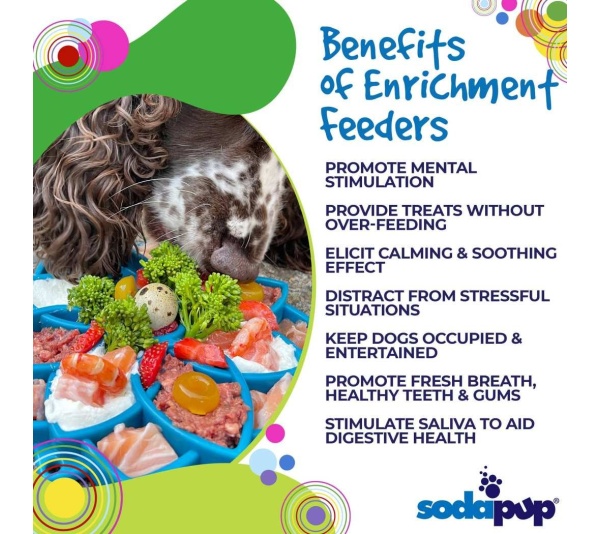 Green - Mandala Design eTray Enrichment Tray for Dogs