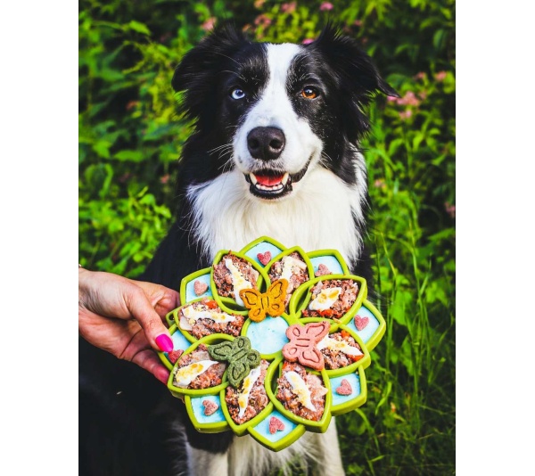 Green - Mandala Design eTray Enrichment Tray for Dogs