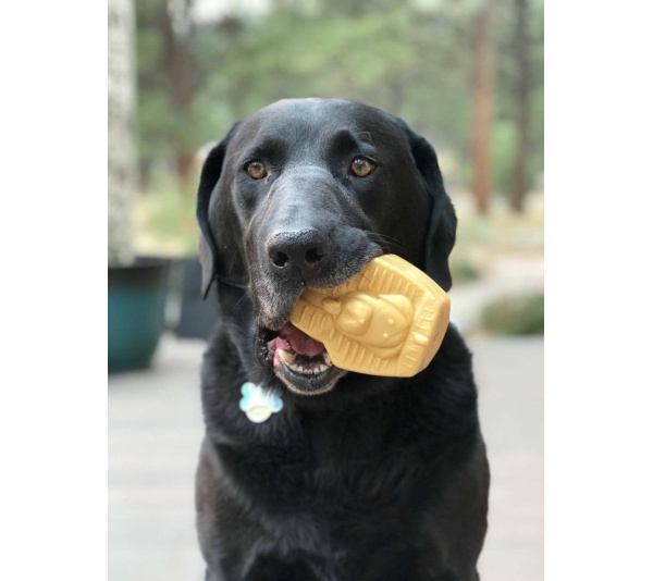 Gold - MKB Doggie Pharaoh Durable Chew Toy & Treat Dispenser - Large