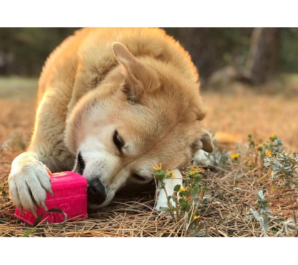 Green - MKB Surf's Up! Retro Van  Durable Chew Toy & Treat Dispenser