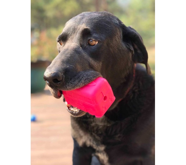 Green - MKB Surf's Up! Retro Van  Durable Chew Toy & Treat Dispenser