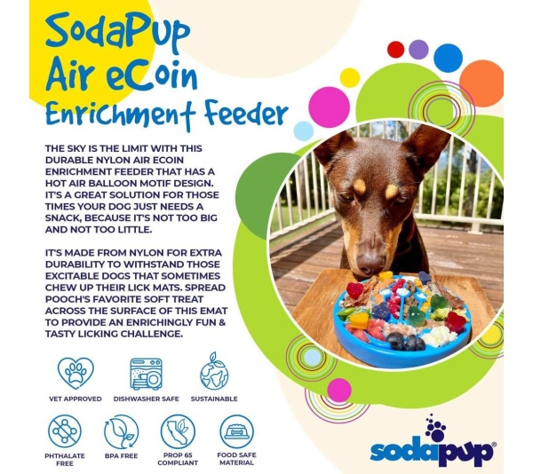 Blue - Nylon eCoin Durable Enrichment Snacking Coin