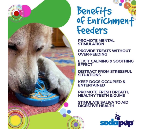 Blue - Nylon eCoin Durable Enrichment Snacking Coin