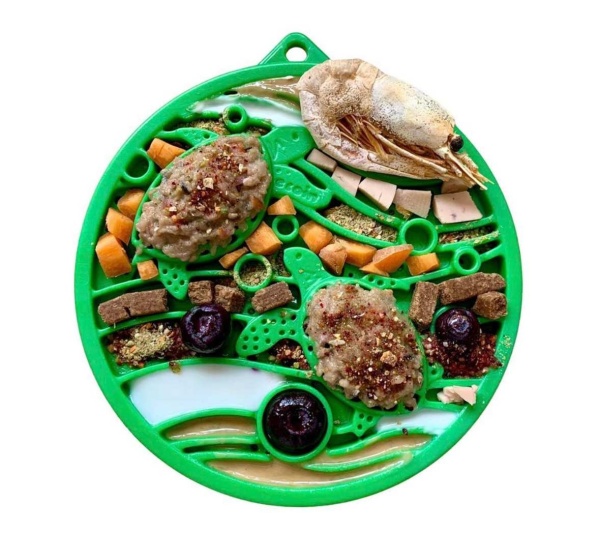 Green - Nylon eCoin Durable Enrichment Snacking Coin