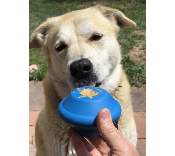 SN Flying Saucer Durable Rubber Chew Toy & Treat Dispenser - Large