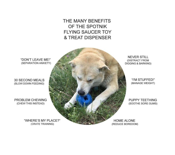 SN Flying Saucer Durable Rubber Chew Toy & Treat Dispenser - Large