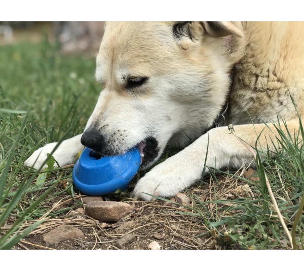 SN Flying Saucer Durable Rubber Chew Toy & Treat Dispenser - Large