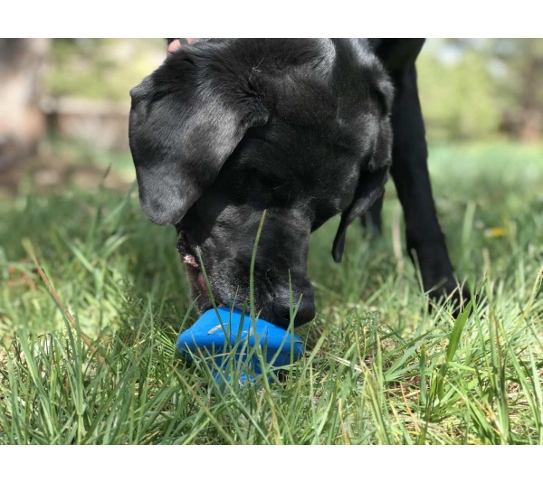 SN Flying Saucer Durable Rubber Chew Toy & Treat Dispenser - Large