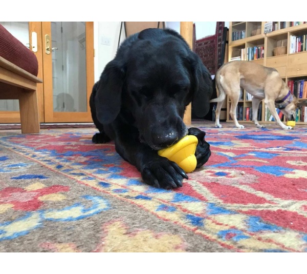 SN Flying Saucer Durable Rubber Chew Toy & Treat Dispenser - Large