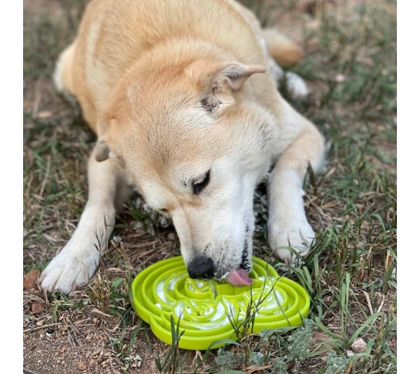 Green  - Water Frog Design eTray Enrichment Tray for Dogs