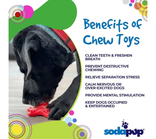 Red - Starfish Ultra Durable Nylon Dog Chew Toy for Aggressive Chewers