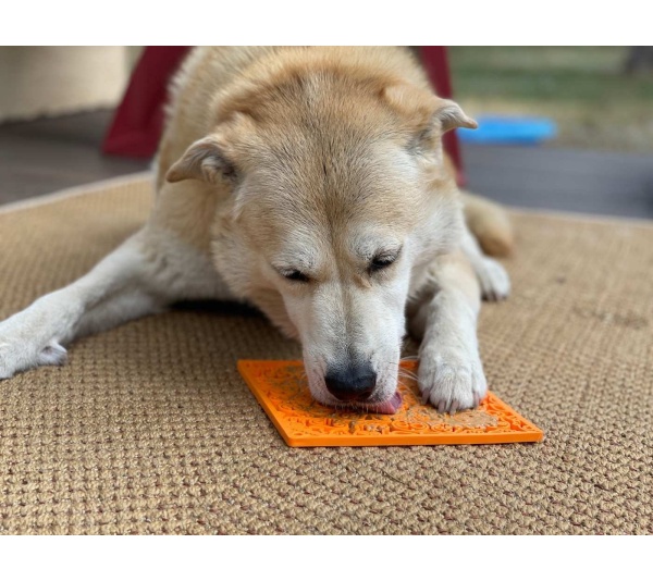 Black - Zombie Design Emat Enrichment Lick Mat