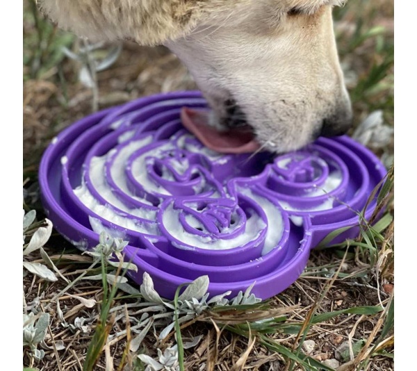 Purple  - Water Frog Design eTray Enrichment Tray for Dogs
