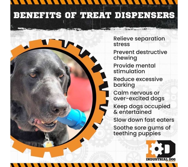 Blue - ID Bone Durable Rubber Chew Toy and Treat Dispenser - Medium