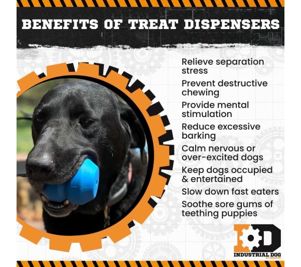 Blue - ID Double Trouble Durable Rubber Chew Toy and Treat Dispenser  - Large