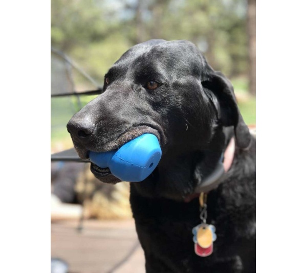 Blue - ID Double Trouble Durable Rubber Chew Toy and Treat Dispenser  - Large