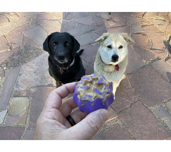 Purple - MKB Cross Bones Treat Pocket - Medium