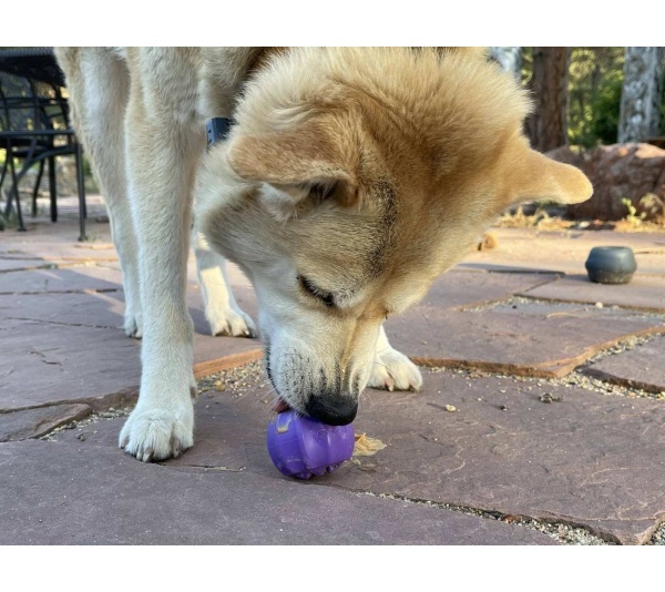 Purple - MKB Cross Bones Treat Pocket - Medium