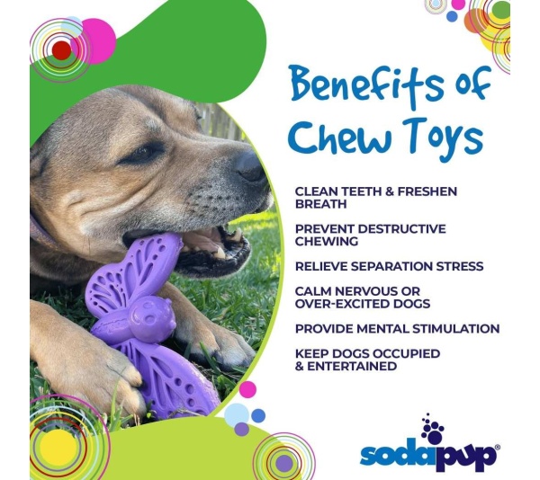 Purple - SP Butterfly Chew and Enrichment Toy