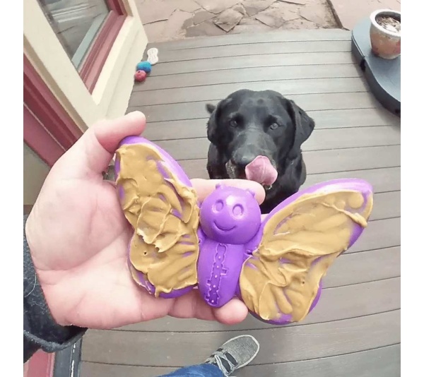 Purple - SP Butterfly Chew and Enrichment Toy