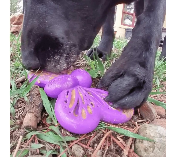 Purple - SP Butterfly Chew and Enrichment Toy