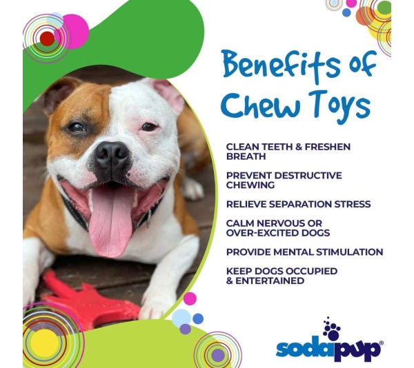 Red - SP Electric Guitar Ultra Durable Nylon Dog Chew Toy for Aggressive Chewers