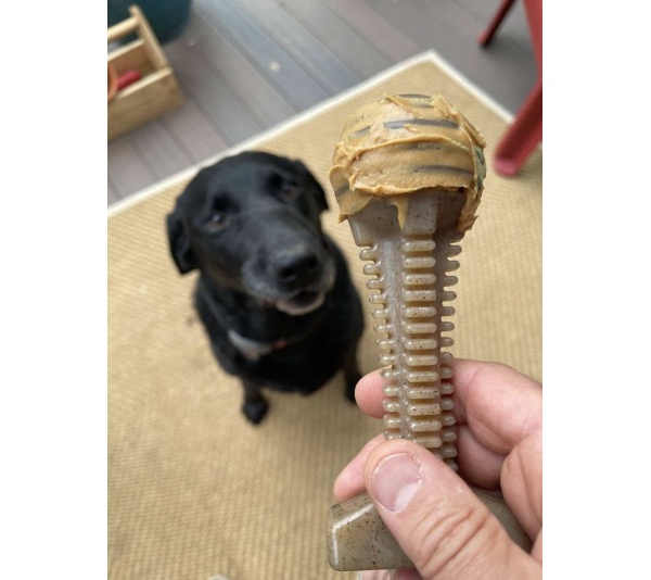 Brown - SP Honey Bone  Dental Tower Ultra Durable Nylon Dog Chew Toy for Aggressive Chewers - Large