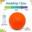 Orange - SP Smile Ball Ultra Durable Synthetic Rubber Chew Toy & Floating Retrieving Toy  - Medium
