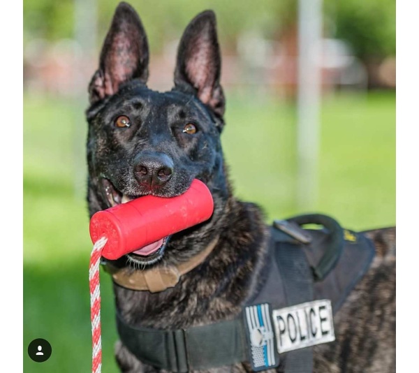 Red - USA-K9 Firecracker Durable Rubber Floating Training Dummy  - Large