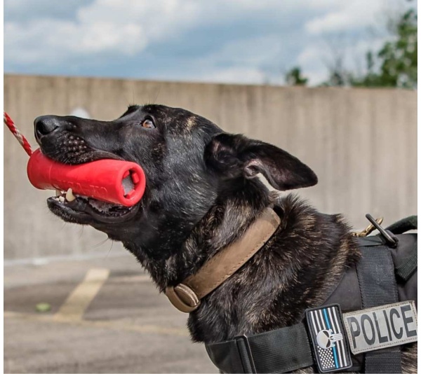 Red - USA-K9 Firecracker Durable Rubber Floating Training Dummy  - Large